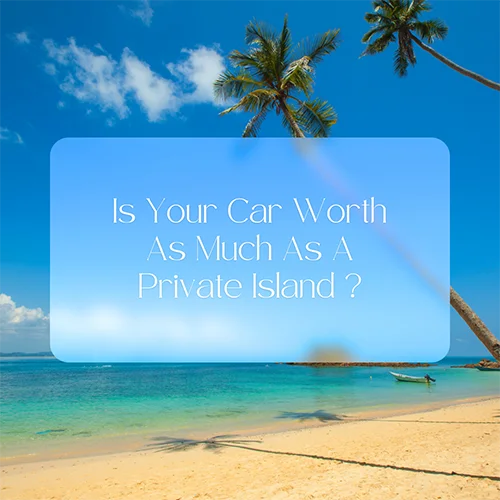 CarBuyerUSA - Paradise Island